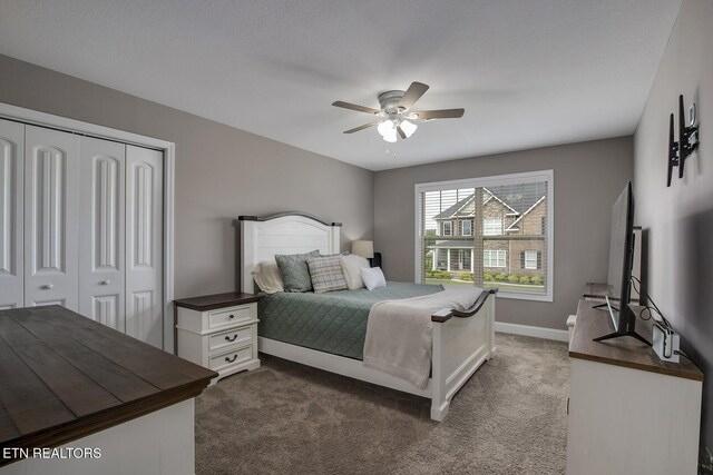 235 Bluff Shadows Ln, Seymour, TN 37865 - photo 35