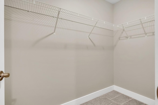 127 Dry Creek Commons Dr, Goodlettsville, TN 37072 - walk in closet with carpet floors