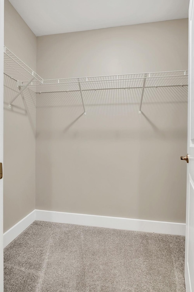 127 Dry Creek Commons Dr, Goodlettsville, TN 37072 - spacious closet featuring carpet floors