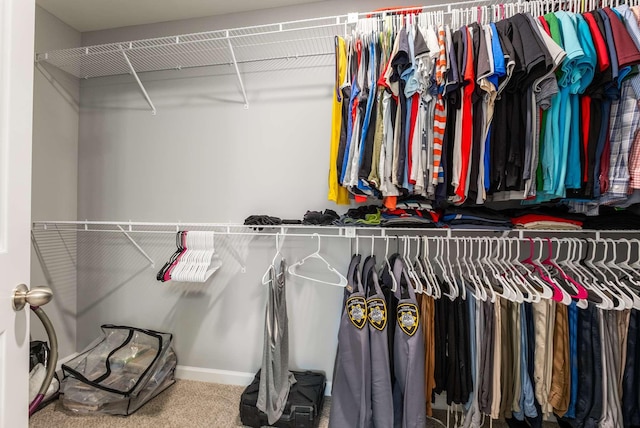 3210 Chatfield Dr, Murfreesboro, TN 37129 - walk in closet with carpet flooring