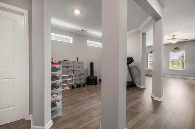 3210 Chatfield Dr, Murfreesboro, TN 37129 - exercise area featuring crown molding, dark wood-style flooring, and a ceiling fan