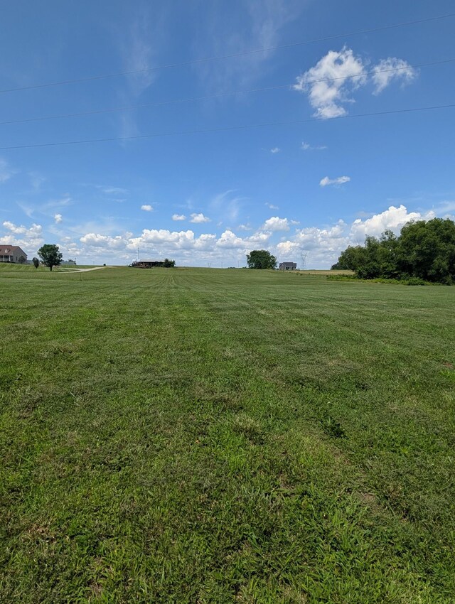 4540 Roy Cole Rd, Springfield, TN 37172 - photo 6
