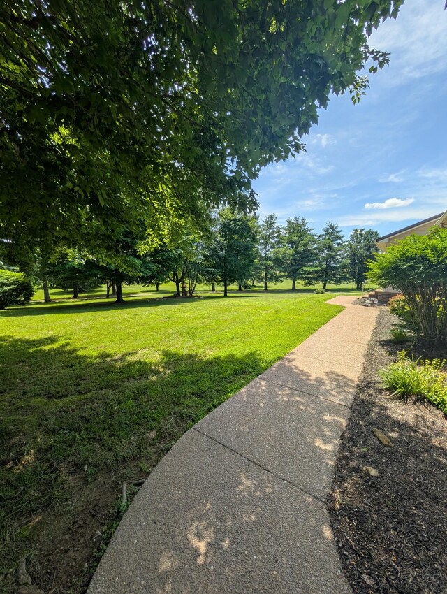 4540 Roy Cole Rd, Springfield, TN 37172 - photo 7