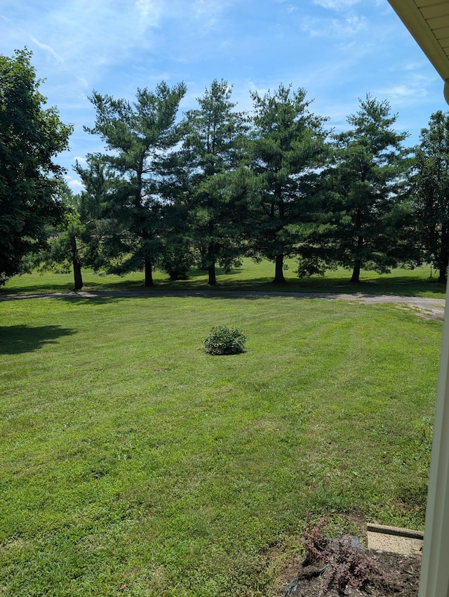 4540 Roy Cole Rd, Springfield, TN 37172 - photo 9