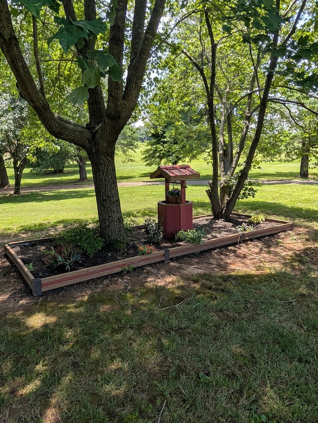 4540 Roy Cole Rd, Springfield, TN 37172 - photo 8