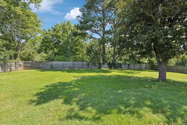 403 N Laurel Cir, Columbia, TN 38401 - photo 42