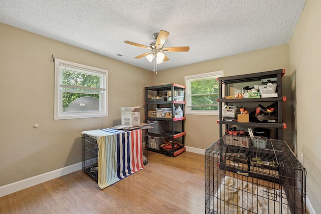 5 Old Chisholm Creek Rd, Lawrenceburg, TN 38464 - office area with a ceiling fan, wood finished floors, and a textured ceiling