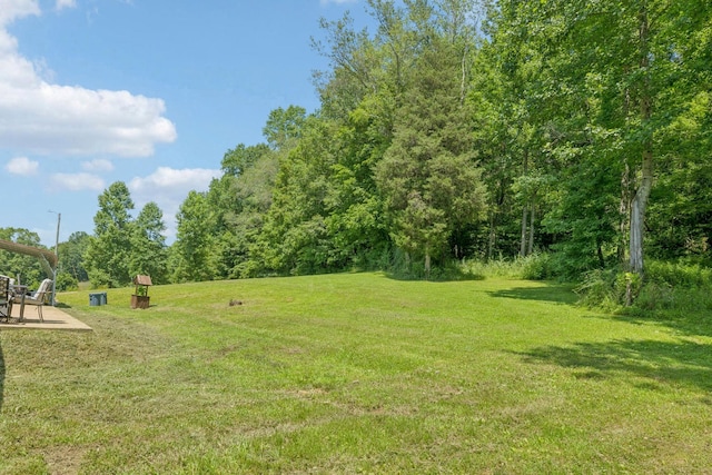 5 Old Chisholm Creek Rd, Lawrenceburg, TN 38464 - view of grassy yard