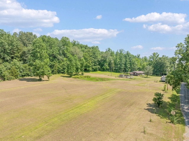 5 Old Chisholm Creek Rd, Lawrenceburg, TN 38464 - view of community featuring a yard