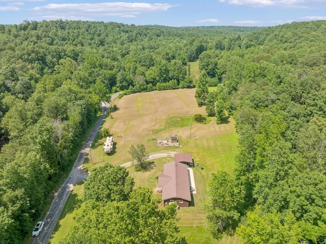 5 Old Chisholm Creek Rd, Lawrenceburg, TN 38464 - aerial view of a forest