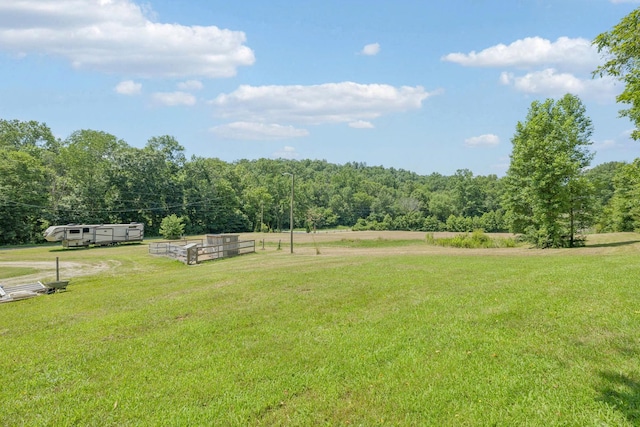 5 Old Chisholm Creek Rd, Lawrenceburg, TN 38464 - view of green lawn with a view of trees