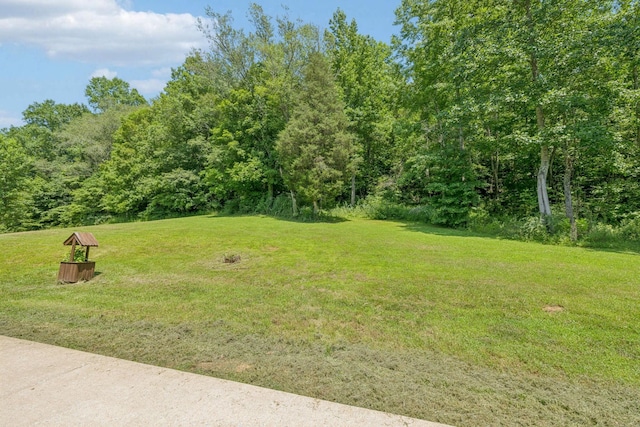5 Old Chisholm Creek Rd, Lawrenceburg, TN 38464 - view of grassy yard