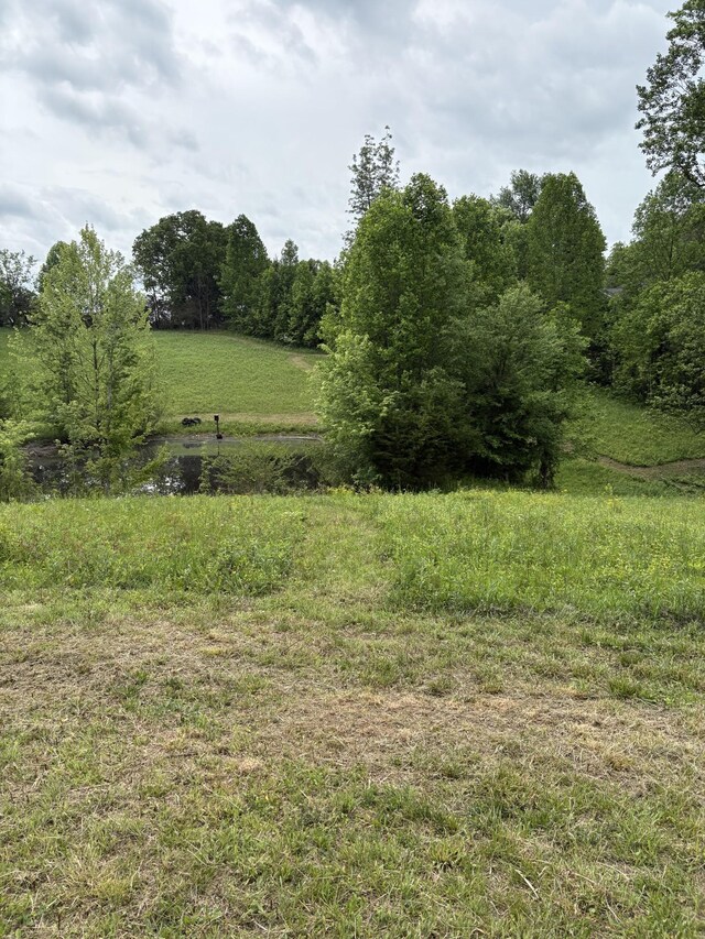 430 Delong Rd, Smithville, TN 37166 - photo 7