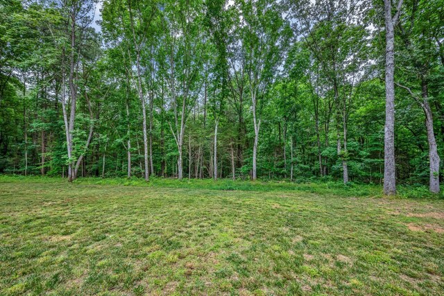 1025 Dawson Rd, White Bluff, TN 37187 - photo 29