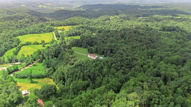 745 Union Ridge Rd, Wartrace, TN 37183 - photo 12