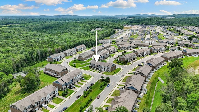 4206 Grapevine Loop, Smyrna, TN 37167 - aerial view of residential area featuring a forest and mountains
