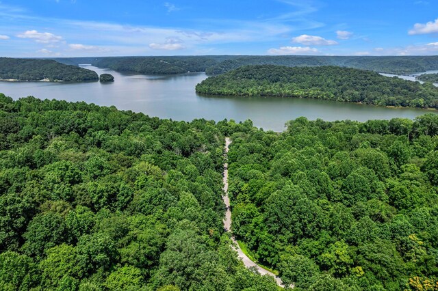 0 Scenic Rd, Normandy, TN 37360 - photo 9