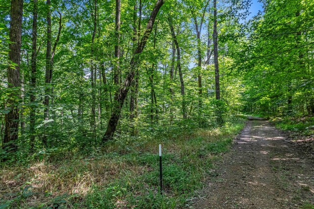 0 Scenic Rd, Normandy, TN 37360 - photo 3