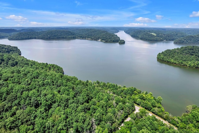 0 Scenic Rd, Normandy, TN 37360 - photo 10
