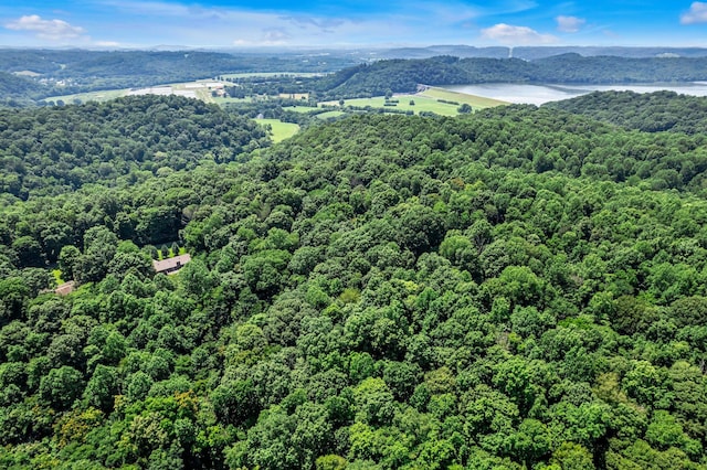 0 Scenic Rd, Normandy, TN 37360 - photo 4