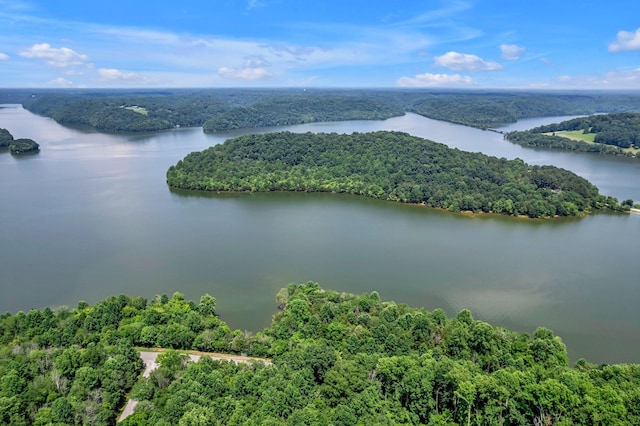 0 Scenic Rd, Normandy, TN 37360 - photo 11