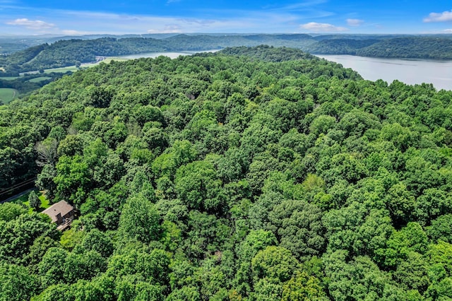 0 Scenic Rd, Normandy, TN 37360 - photo 6