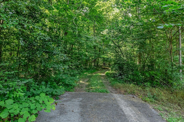 0 Scenic Rd, Normandy, TN 37360 - photo 2