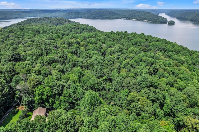 0 Scenic Rd, Normandy, TN 37360 - photo 1