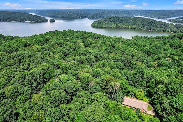 0 Scenic Rd, Normandy, TN 37360 - photo 7