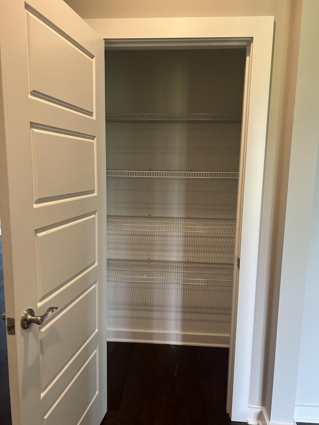 264 Dink Rut Rd, Portland, TN 37148 - view of closet