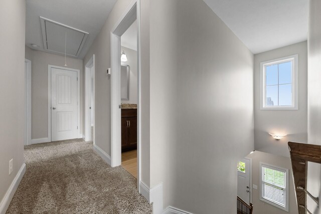 891 Terraceside Cir, Clarksville, TN 37040 - photo 24