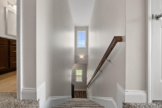 891 Terraceside Cir, Clarksville, TN 37040 - photo 23