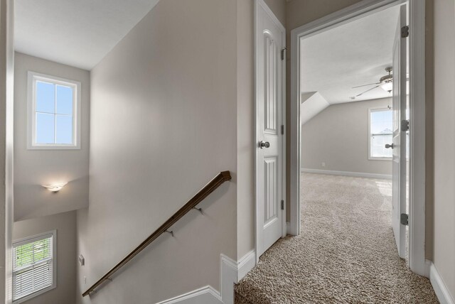 891 Terraceside Cir, Clarksville, TN 37040 - photo 33