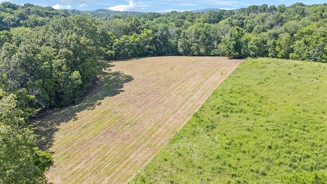 0 Palmer Rd, Lebanon, TN 37087 - photo 4