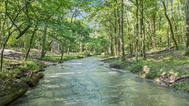 0 Palmer Rd, Lebanon, TN 37087 - photo 9