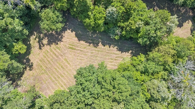 0 Palmer Rd, Lebanon, TN 37087 - photo 8