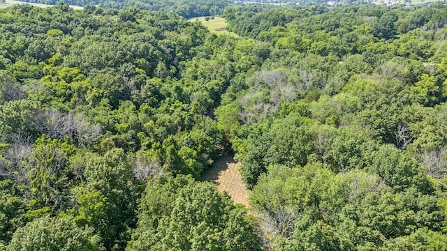 0 Palmer Rd, Lebanon, TN 37087 - photo 7
