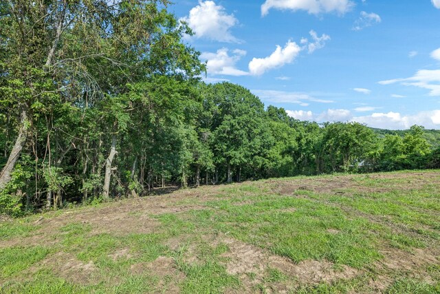 0 Palmer Rd, Lebanon, TN 37087 - photo 11