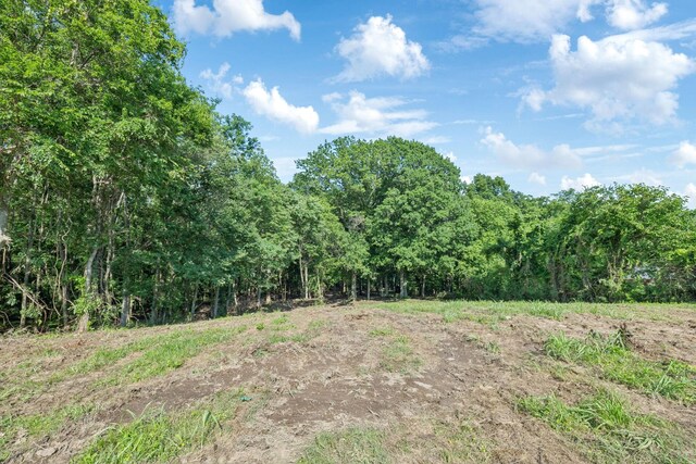 0 Palmer Rd, Lebanon, TN 37087 - photo 13