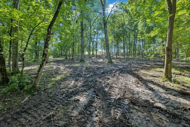 0 Palmer Rd, Lebanon, TN 37087 - photo 15
