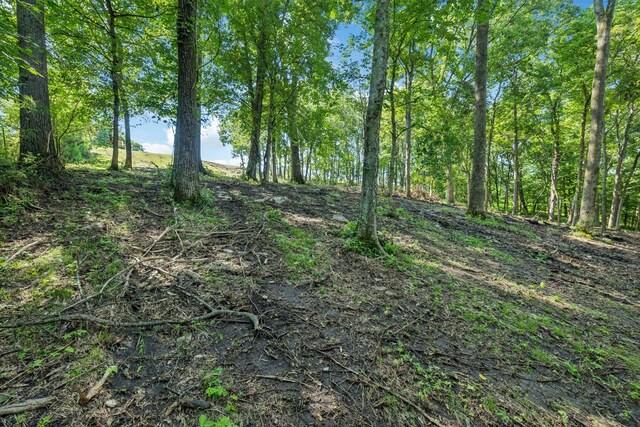 0 Palmer Rd, Lebanon, TN 37087 - photo 14