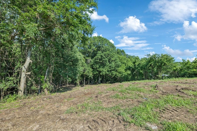 0 Palmer Rd, Lebanon, TN 37087 - photo 12