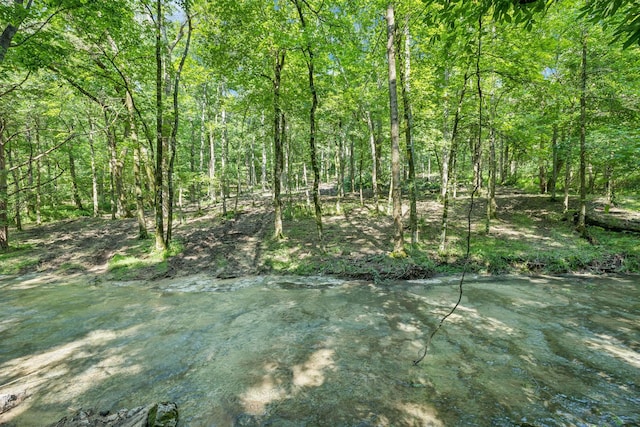 0 Palmer Rd, Lebanon, TN 37087 - photo 10