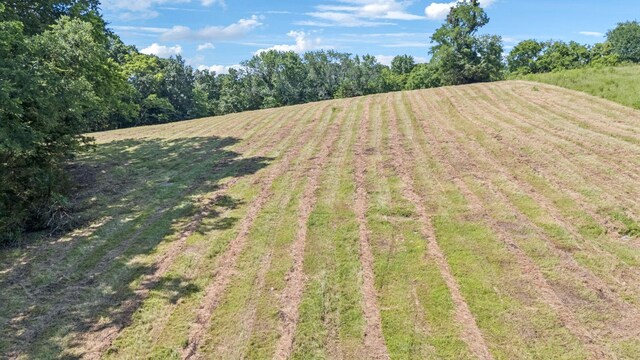 0 Palmer Rd, Lebanon, TN 37087 - photo 3