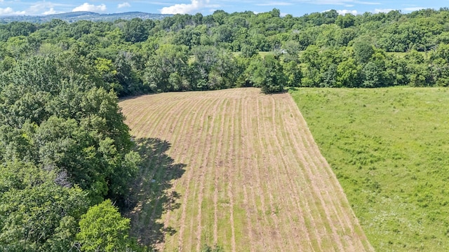 0 Palmer Rd, Lebanon, TN 37087 - photo 5