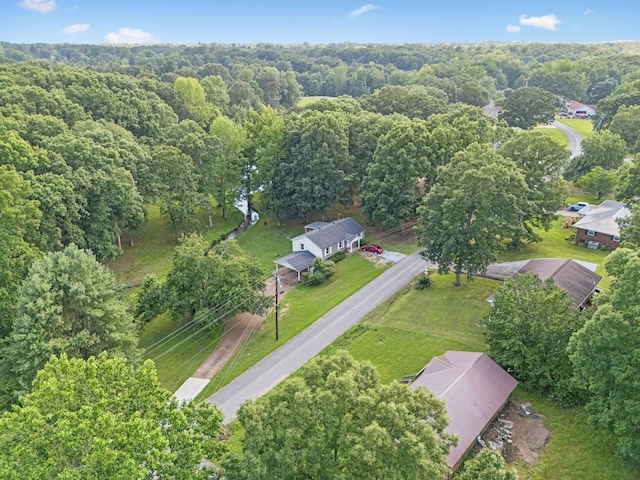 630 Lakeview Cir, Tennessee Ridge, TN 37178 - photo 47