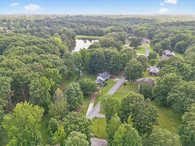 630 Lakeview Cir, Tennessee Ridge, TN 37178 - photo 53