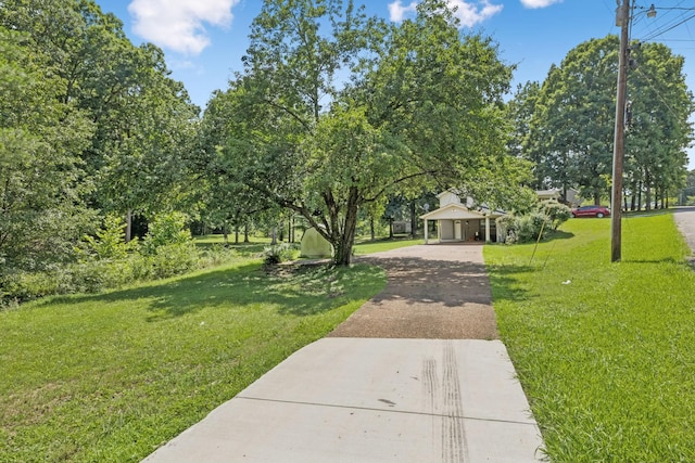 630 Lakeview Cir, Tennessee Ridge, TN 37178 - photo 44