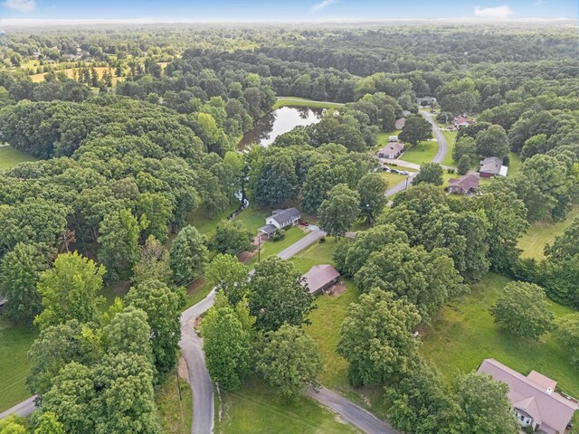 630 Lakeview Cir, Tennessee Ridge, TN 37178 - photo 54