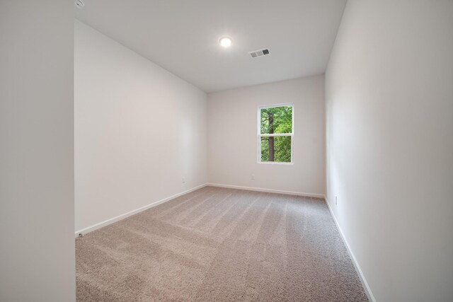 312 Deacon Ln, White House, TN 37188 - photo 40
